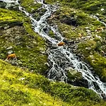 Modern Mountain 4 - An Der Skipiste