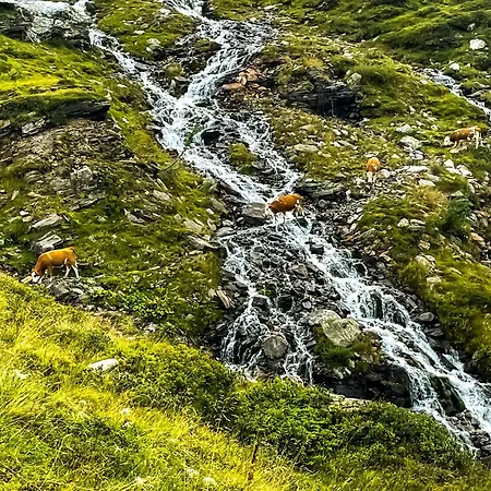 Modern Mountain 4 - An Der Skipiste