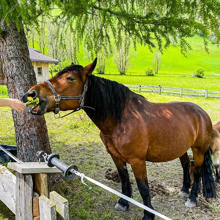 Modern Mountain 4 - An Der Skipiste Apartment *