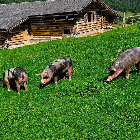 Apartment Modern Mountain 4 - An Der Skipiste