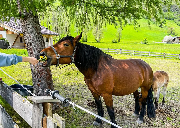 Modern Mountain 4 - An Der Skipiste Apartment *